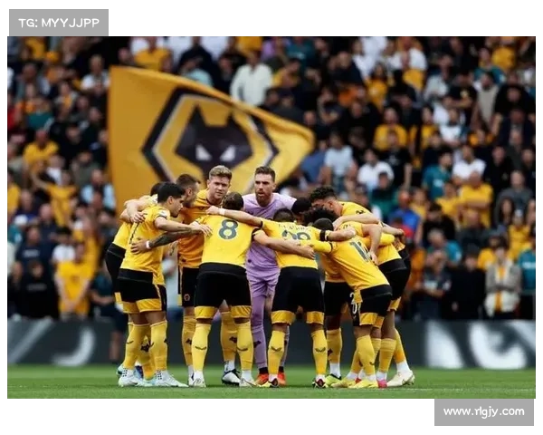 卡塔尔财团以35亿英镑收购狼队 成为英超新中资俱乐部 卡塔尔财团以35亿英镑收购狼队 成为英超新中资俱乐部